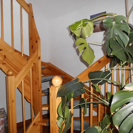 Moewennest